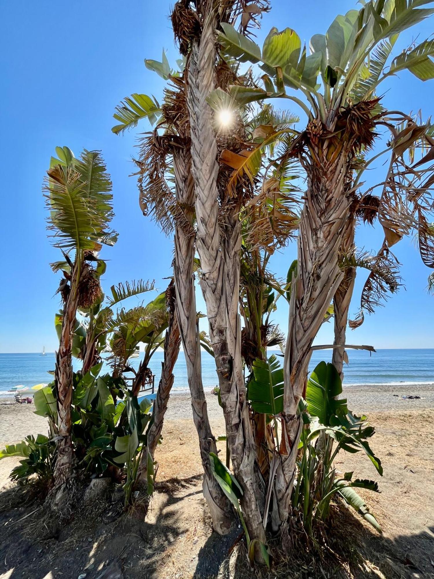 Apartamento De Playa Reformado Rincón de la Victoria Exteriör bild